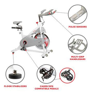 Sunny Health & Fitness Magnetic Belt Drive Premium Indoor Cycling Bike - Decor Dynamics
