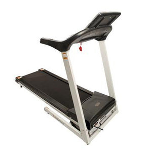 Sunny Health & Fitness Energy Flex Motorized Treadmill - Decor Dynamics